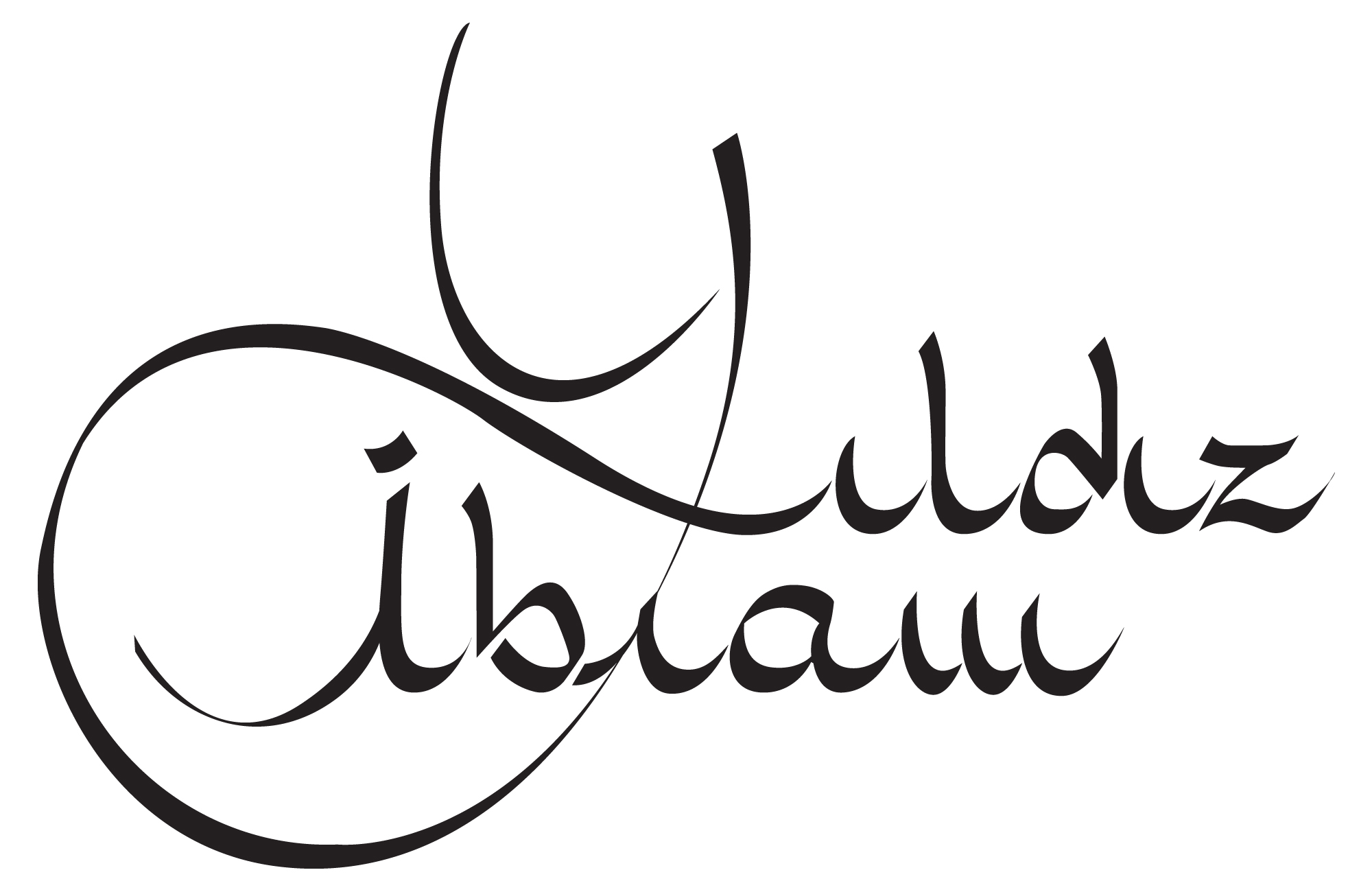 Asociatia Romano – Turca Arta Fara Frontiere